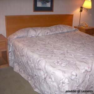 מריוויל Princess Motel חדר תמונה